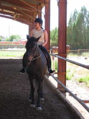 spainhorse2.jpg