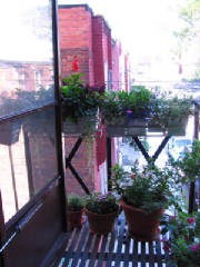 urbangarden.jpg