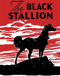 bstallion.jpg