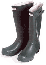 wellingtons.gif